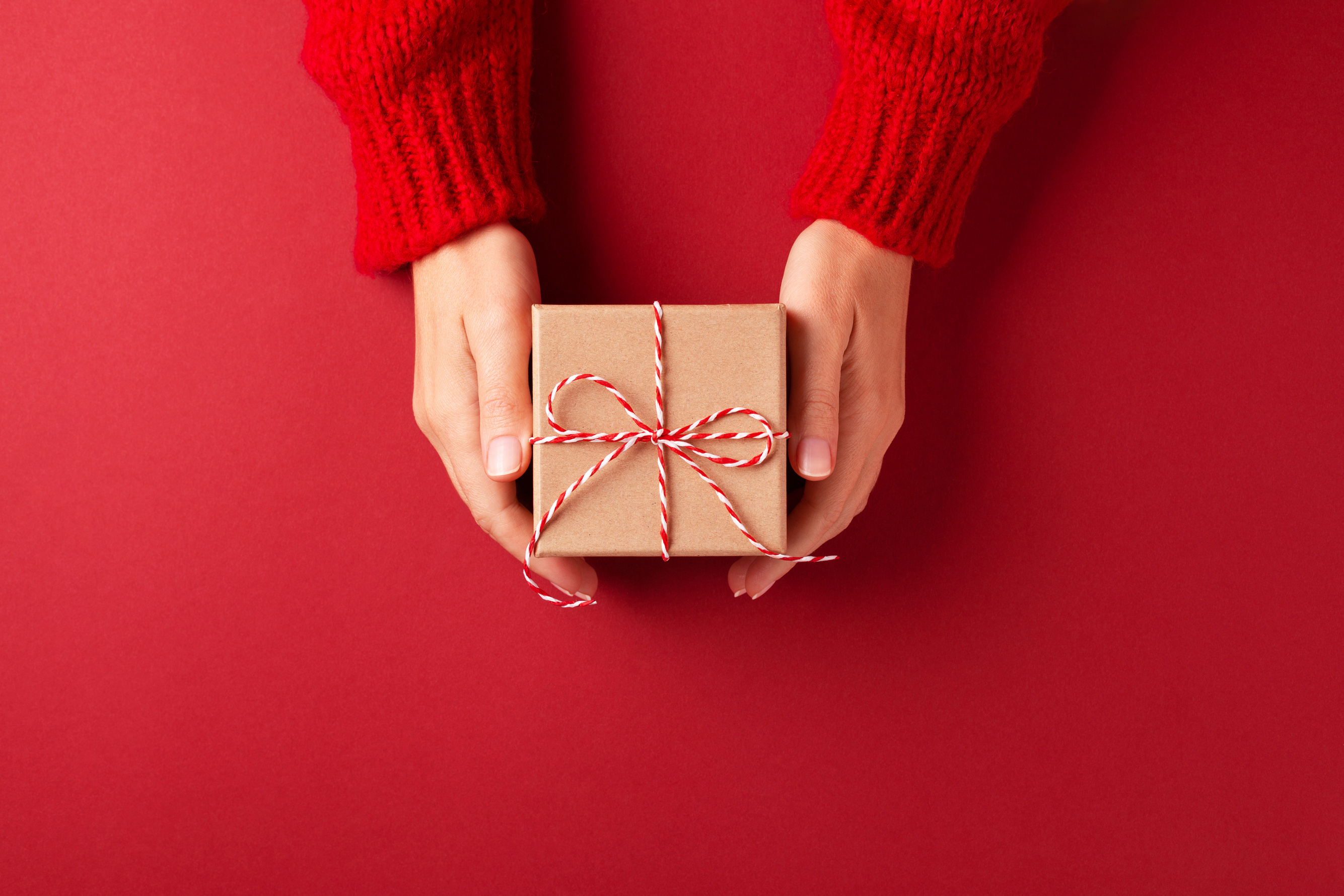 Hands holding Christmas gift box.