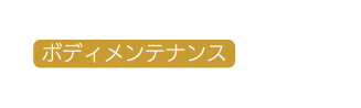 ボディメンテナンス